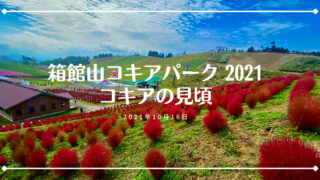 21 大石公園 河口湖 紅葉コキアと富士山の絶景 駐車場や見頃を解説 山梨のおすすめ紅葉スポット