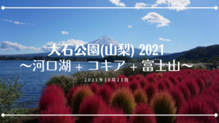 21 大石公園 河口湖 紅葉コキアと富士山の絶景 駐車場や見頃を解説 山梨のおすすめ紅葉スポット