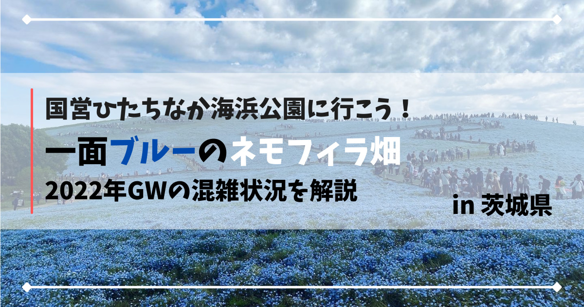 国営ひたちなか海浜公園のネモフィラ アクセス方法や早朝の駐車場などの混雑状況を解説 22年gw