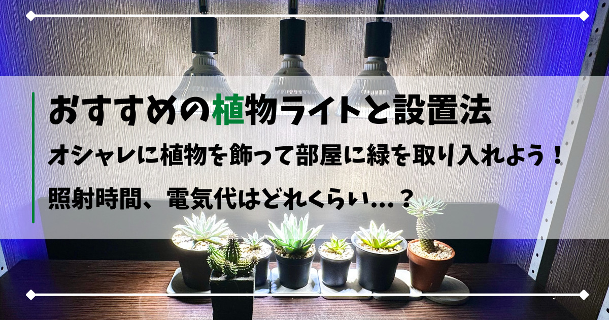 ダクトレール 植物育成ライト 自作のおしゃれ観葉植物棚 アガベ用 を作るアイテム9選 ルクスメーターの測定値と照射時間や電気代の一例も紹介